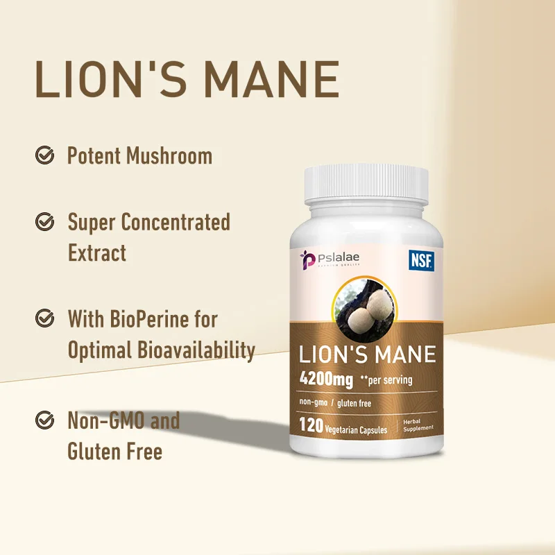 Lions Mane Relieve Stress Immune System Health Improve Memory Protect Brain Nerves