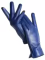 Royal blue Standard