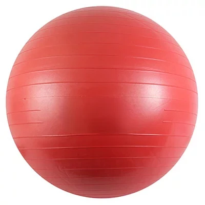 Stability Yoga Ball 6