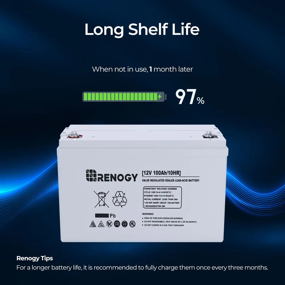 Renogy 12V 100Ah Deep Cycle AGM Battery