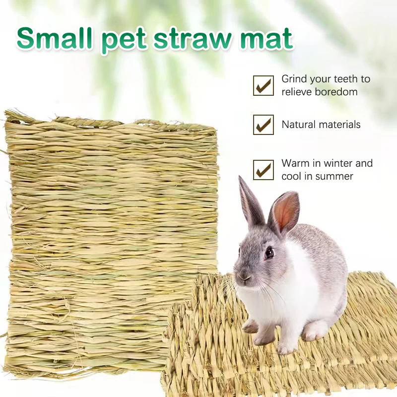 RabbitGrassChewMatSmallAnimalsHamsterGuineaPigCageEdible