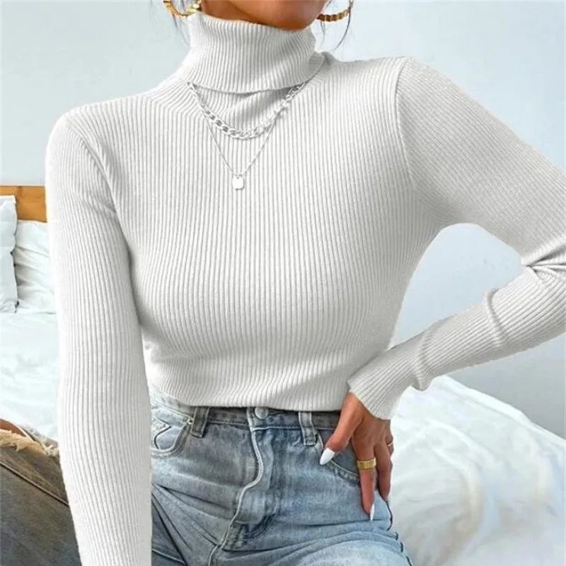 Women Autumn Winter Knitted Turtleneck Sweater