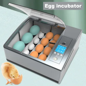 22046-516483.jpg 16-Egg Digital Egg Incubator Chicken Duck Hatcher Temp Control Automatic Turning