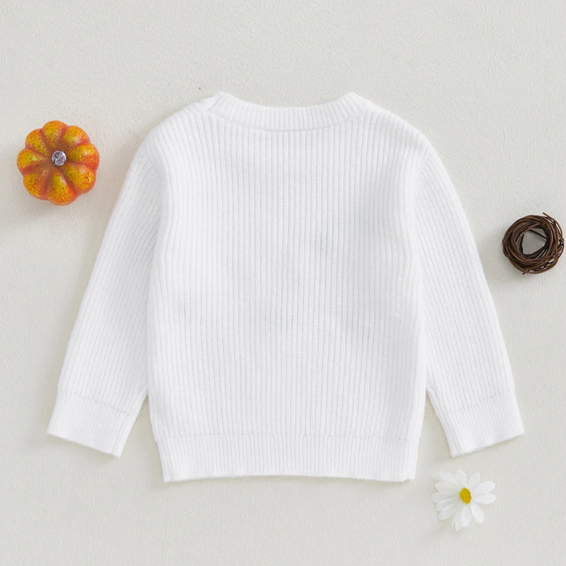 Spring Winter Knit Baby Sweater for Boy Girl Clothes Pumpkin Letter Flower Embroidery Infant Long Sleeve Pullover Tops Jumpers
