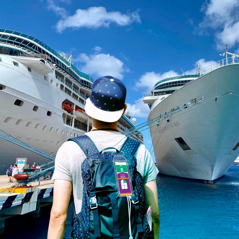 Рисунок 2 - Багажные бирки для круиза для королевского