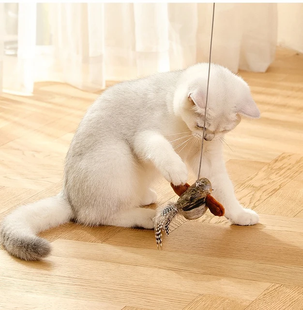 Smart Cat Chirping Bird Toy - Auto Sound Activation, Chew-Resistant Feathers & Catnip Attraction, Dual Play Modes for Interactiv 4