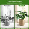 3/24PCS Twig Plant Support Brackets Stackable Green Plants Growth Stakes Detachable Monstera Climbing Stakes for Indoor Outdoor 3