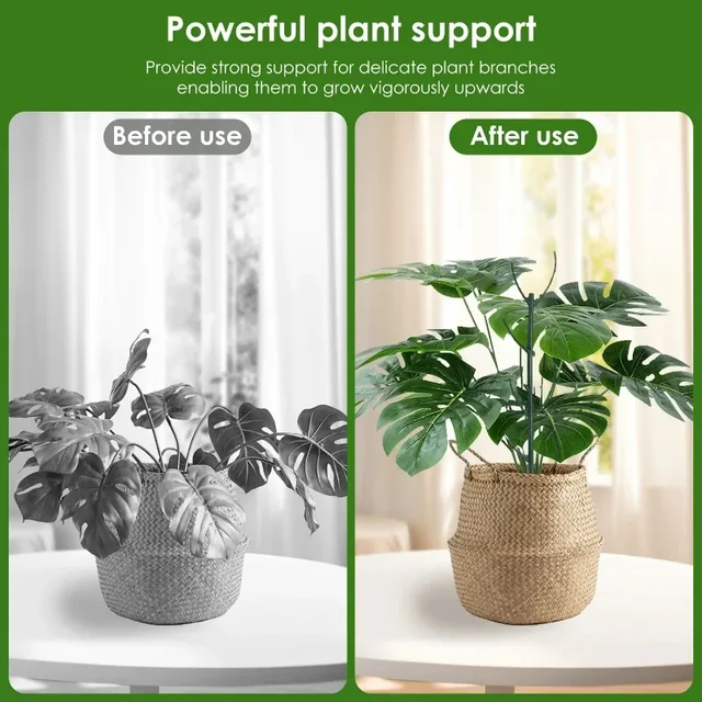 3/24PCS Twig Plant Support Brackets Stackable Green Plants Growth Stakes Detachable Monstera Climbing Stakes for Indoor Outdoor 3