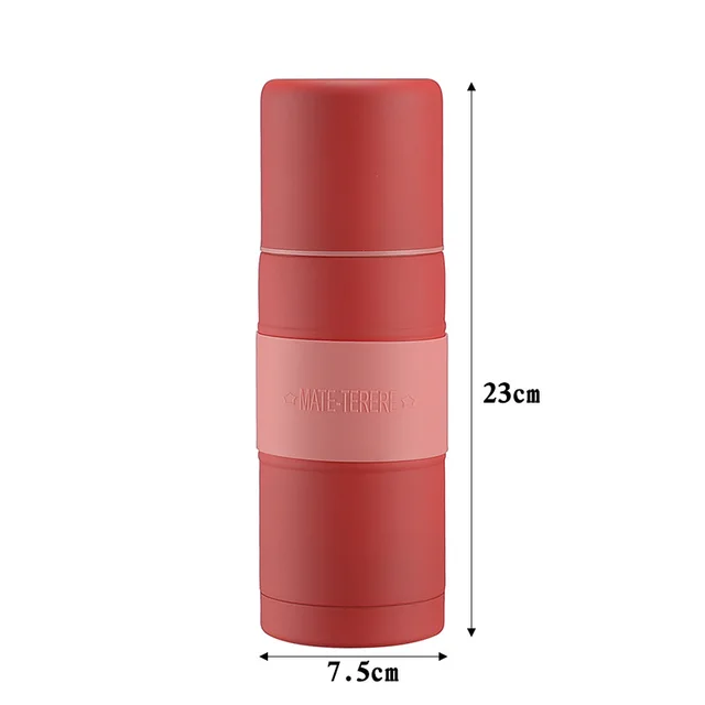 Tasse isolée sous vide en acier inoxydable, tasse à thé mate avec paille, 700/500ml, cadeau pour ami 5