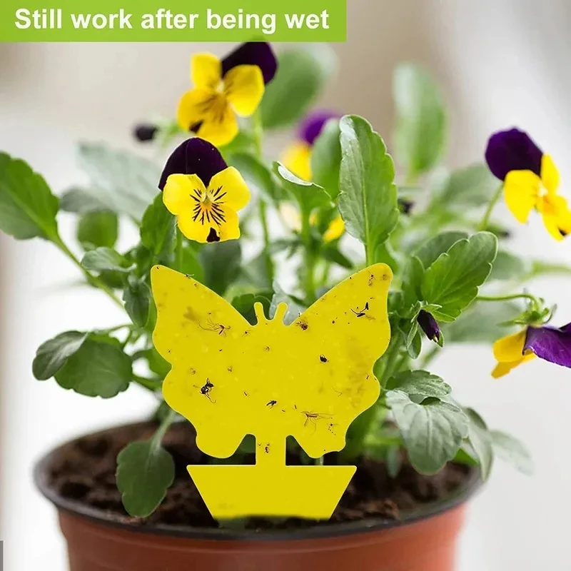 Insect Traps Sticky Yellow