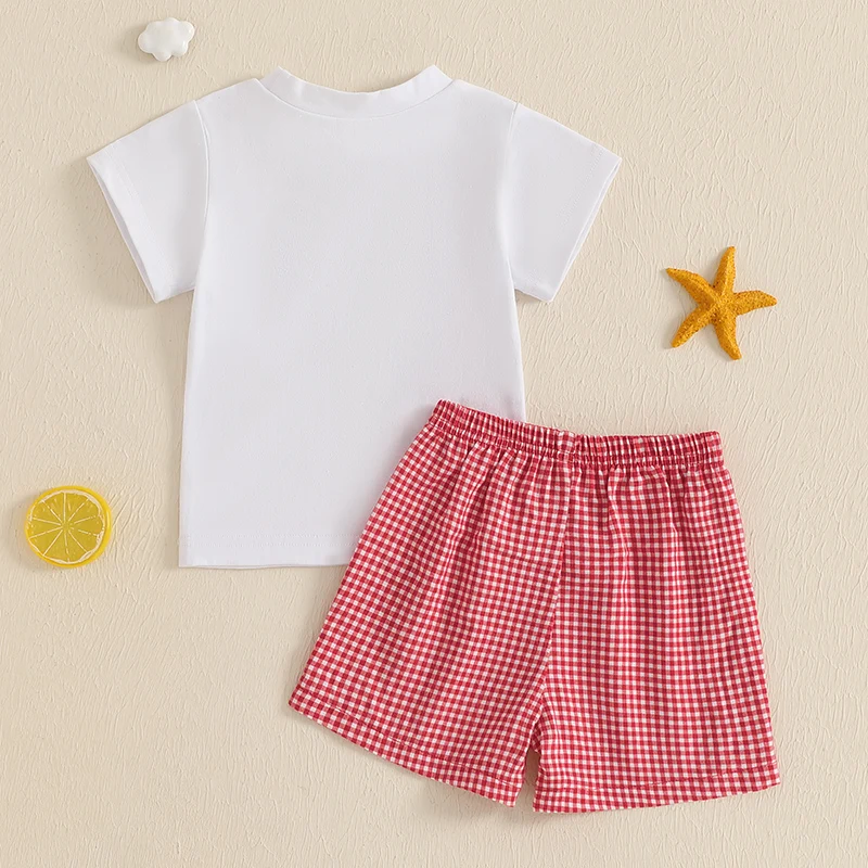 FOCUSNORM 0-4Y Summer Kids Boys Casual Clothes Sets Letter Embroidery Crew Neck Short Sleeve T-Shirt with Plaid Shorts