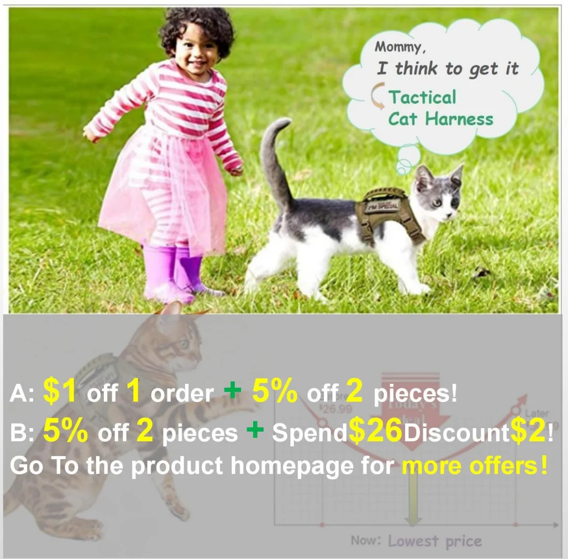 Cat Harness Adjustable Tactical Harnesses vest Leash Set Pet Clothes For Cats & Small Dog