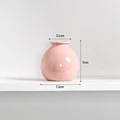 S4 Pink Wide mouth