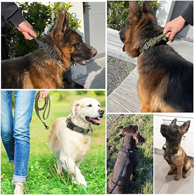 S106a5afe7e9141e8acf7683ec7fb016bP.jpg Durable Tactical Dog Collar Leash Set Adjustable Military Pet Collar Leash Medium Large Dog German Shepherd Training Accessories