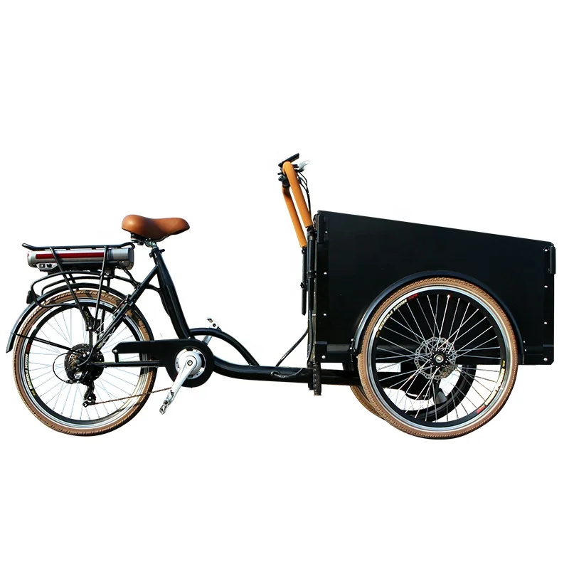 Electric bakfiets LCD displayracks electric cargo bike 36V lithium battery tricycle e-cargo bike dutch bike for family