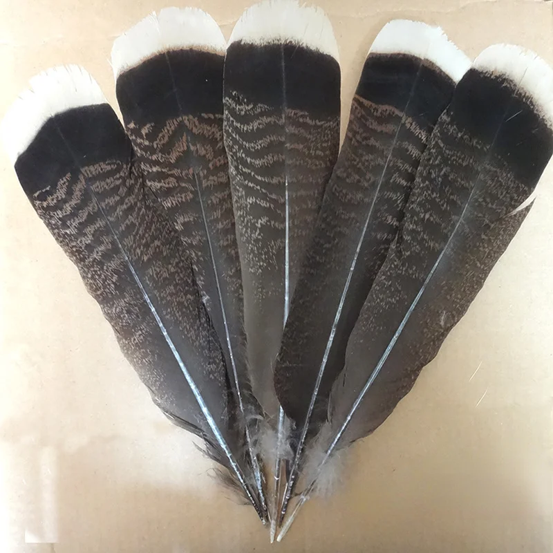 

Carefully selected turkey feather imported from the United States 25-30cm natural Leopard Print Home Furnishing decoration