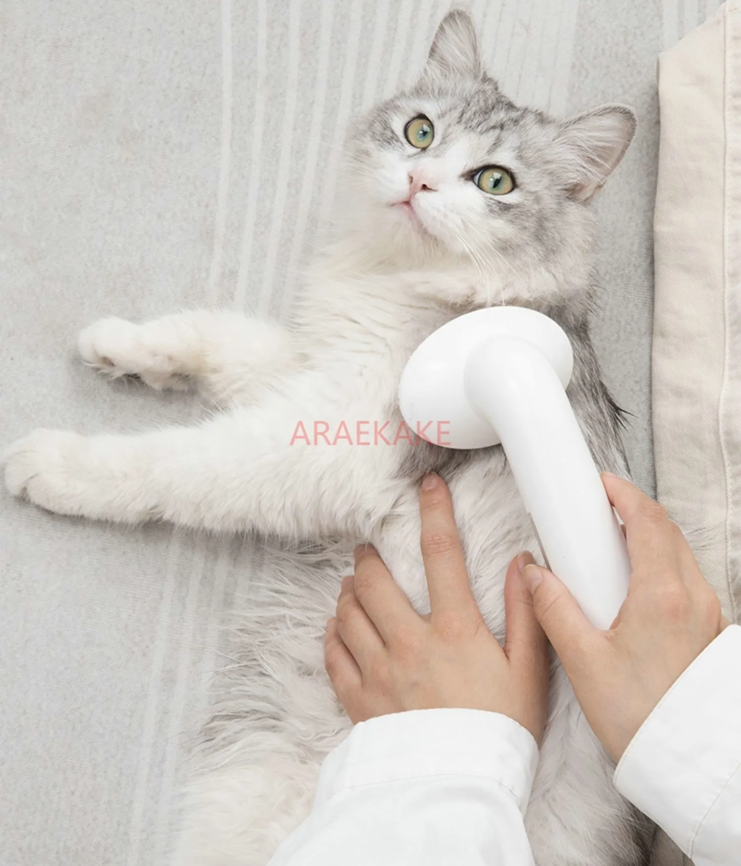Pet Bath Brush Bubble Maker Cat and Dog Universal Massage Brush Bath Comb Hair Removal Bubble Maker
