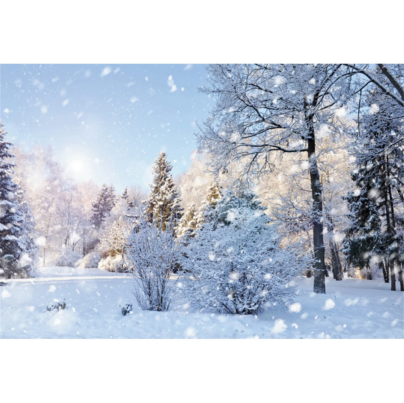 thumbnail image 1 of Fondos fotográficos con escena de nieve y árboles en el bosque invernal de Yeele para sesión fotográfica, decoración, fondos fotográficos para estudio fotográfico, 1 of 5