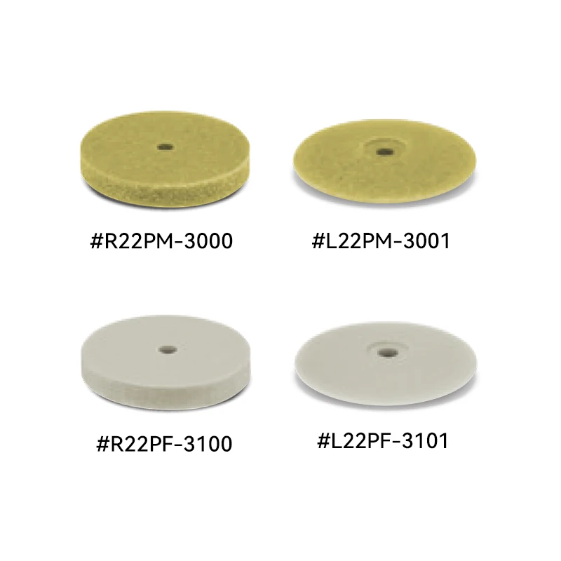 EVE Pumice Wheel Polisher Set - High Luster Jewelry & Stone Finishing Tool (10 Pieces)