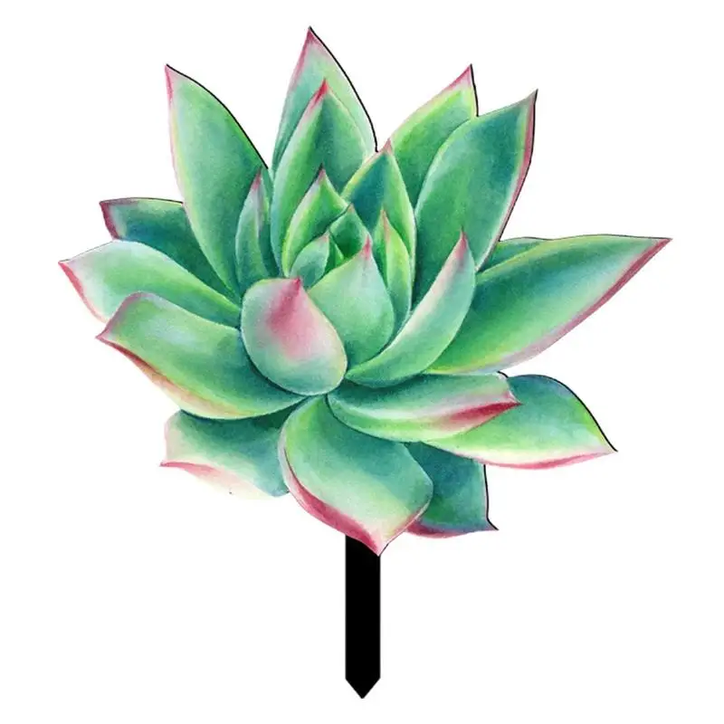 

Succulent Garden Stakes Acrylic Flower Garden Stakes Rust-proof 2D Succulent Decor Artifact Succulent Placard Sun-proof For