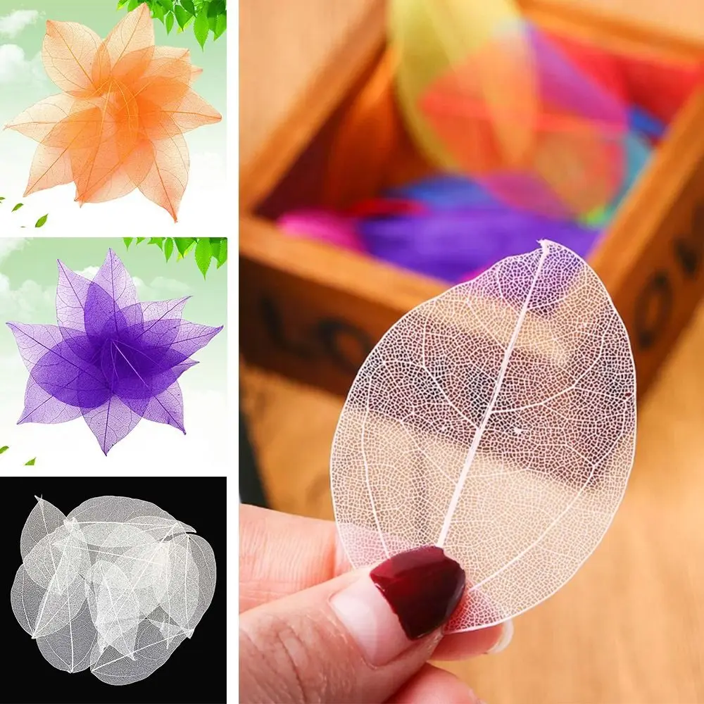 

100Pcs Natural Skeleton Leaf Vein Dried DIY Handmade Materials Nail Art Flowers Bookmarks for Wedding Home Decor Accessories