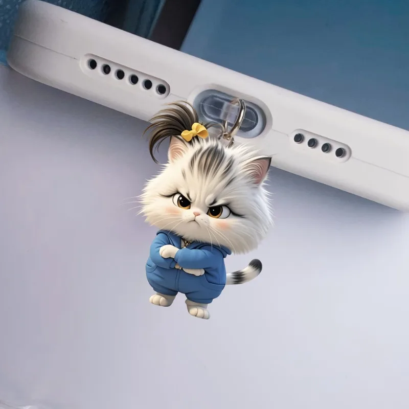 2D 평면 폭발적인 화난 고양이 아크릴 폰 먼지 방지 스토퍼 (아이폰 및 C타입 충전 포트 보호 장식 액세서리)