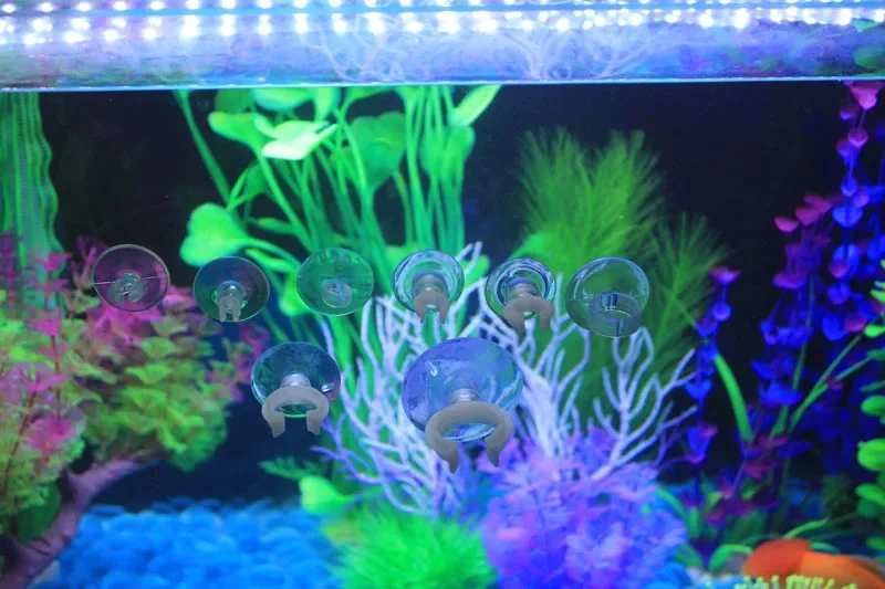 Aquarium Accessories 10Pcs/set Aquarium Suction Cup Holder Fish Tank Sucker Water Pump Tube Airline Tube Holder Sucker aquarium suction cup,rubber suction cup holders
