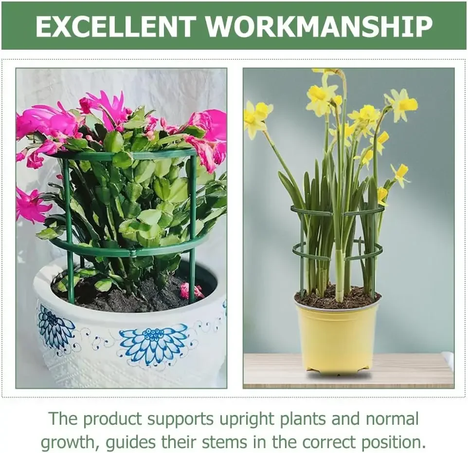 S10784aa75a2440e8afd025b95ccfb89eF