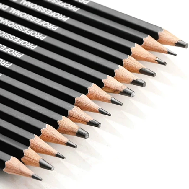1Set Sketch Charcoal Pencils Black White Professional Graphite Pencils for  Drawing Artist Art Materials - AliExpress
