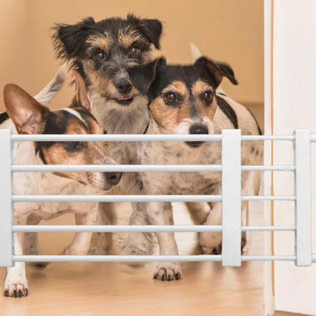 Barrera de seguridad Extra Alta para perros