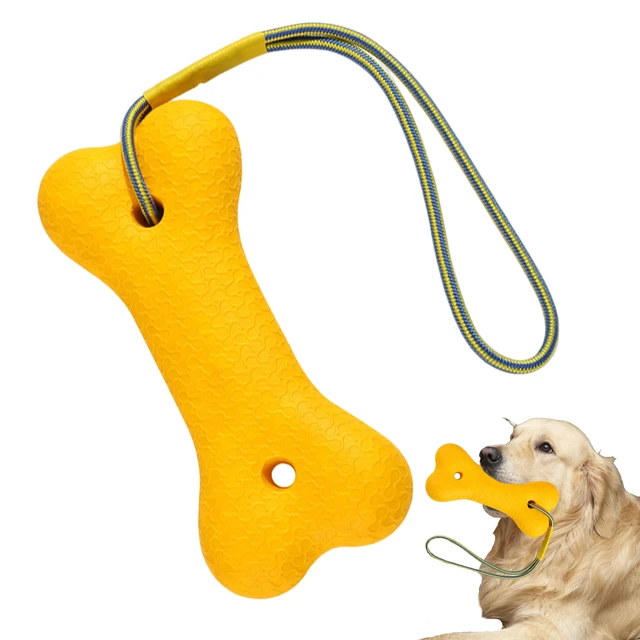 Interactive Dog Ball Toy for Training - Squeaky, Comfortable, and