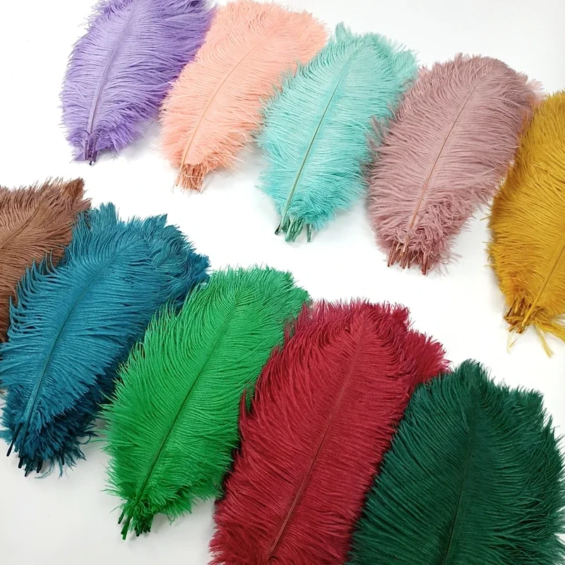 Ostrich Feathers 10Pcs Colorful For Clothes Crafts DIY Home Decor Table Centerpieces Vase