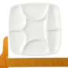 7-Will Square Paint Palette,White Ceramic Artist Paint Palette for Watercolor Painting, Palette Oil Painting 6