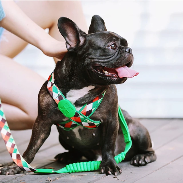 Premium Explorer Harness Y-Shaped Dog HarnessAdjustable Durable Nylon Soft Padding Metal Buckles and Leather Handle for Pets 6