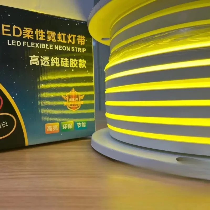 

100M DC 12V LED Neon Strip Light Neon Sign Waterproof Silicone Rope Lights Flexible Lamp Home Decoration with 2pin Wire 9 Colors