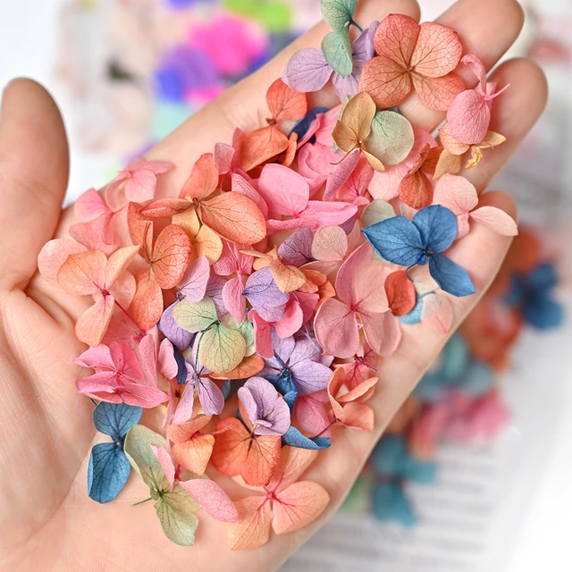 24 Pcs 3D Dried Flowers for Nails, Dried Flowers for Resin Nail Craft Art  Accessories, Pressed Dried Flower Nail Art Decoration Tips DIY Manicure