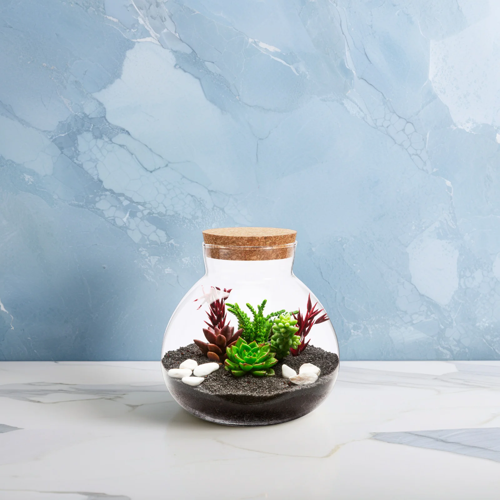 Eco Bottle Terrarium DIY Empty Plants Moss Landscape Container Glass Ecological with Cover Home Decor 3