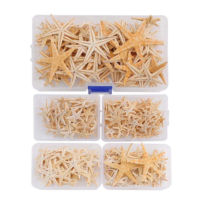 Natural Starfish Seashell 1Box 20/50/100pcs natural shell ornaments resin starfish ornaments