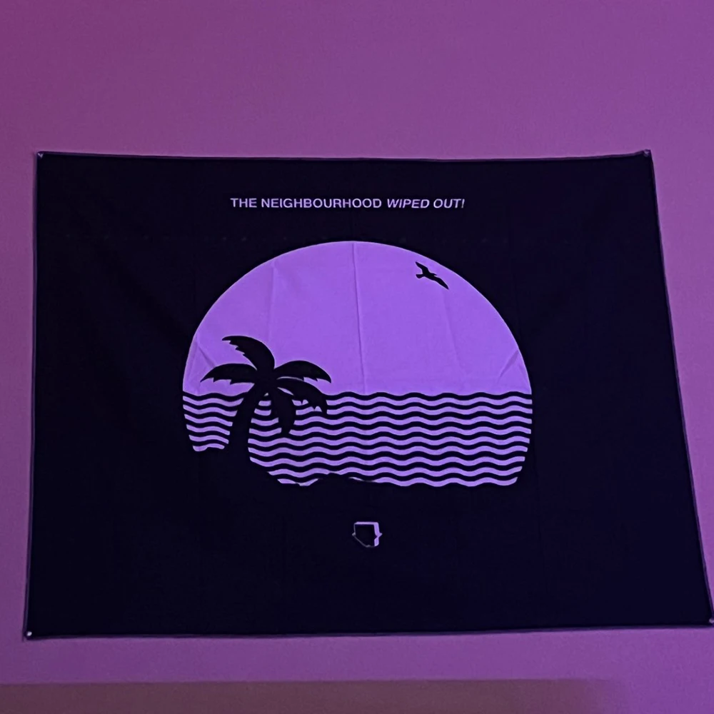 Wiped Out The Neighbourhood Tapestry Wall Hanging Rock Music Home Decoration Window Curtain Throw Towel Blanket Bedding Sheet tapestry decor