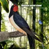 wooden parrot stand pole perch wood natural tree branch bird stand beak and claw grinding parrot toys birdcage decoration pets 3