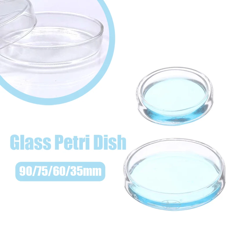 Glass Petri Dishes 90/75/60/35mm Laboratory