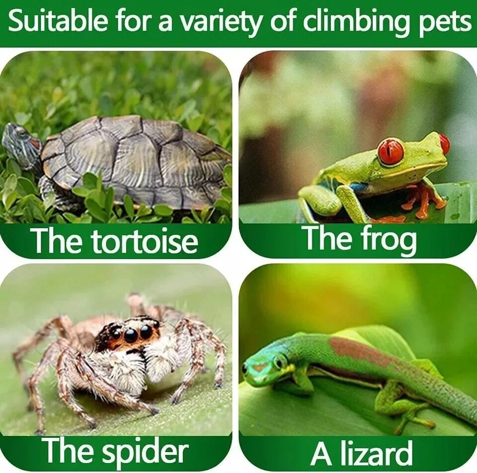 UVA+UVB Reptile Lamp Bulb 25/50/75W Turtle Basking UV Light Bulbs Constant Temperature Full Spectrum Sunlamp For Snake Pet Chick