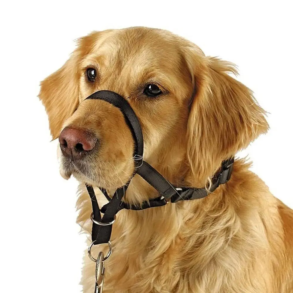 Adjustable Anti Barking Non Pull Dog Muzzle Dog Halter Leader Harness Dog Head Collar_voghion.com