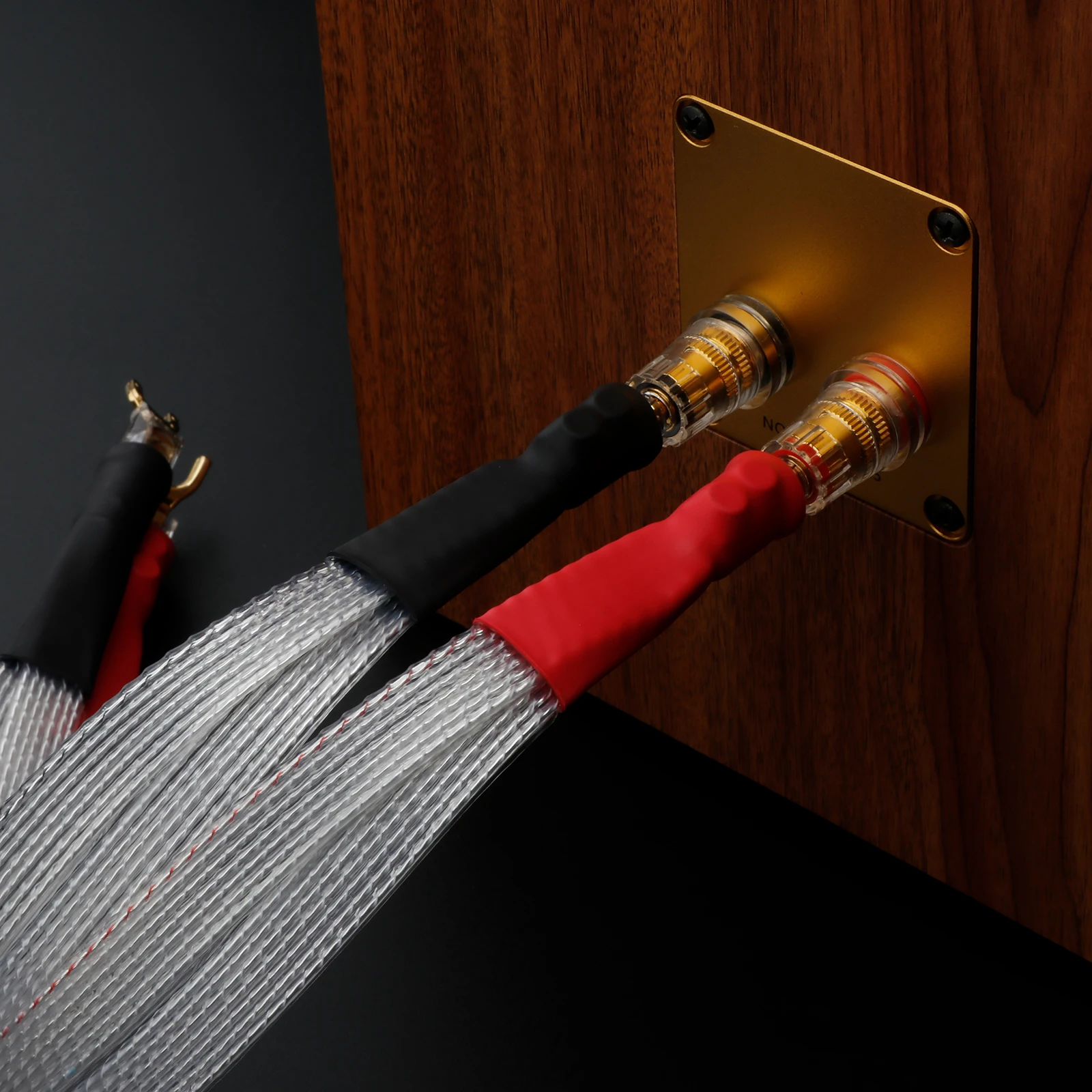 4本のジャンパーケーブルブリッジ、バル配線、スピーカーブリッジ