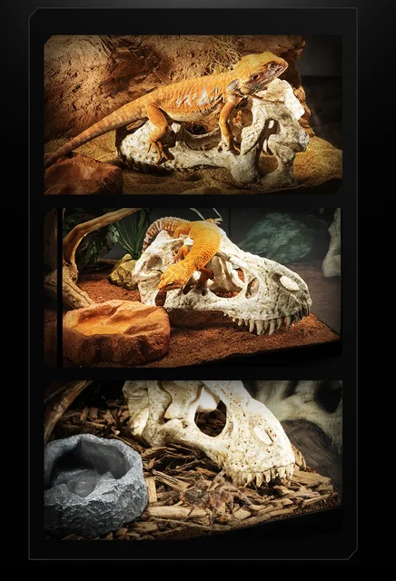 Dinosaur Skull Reptile Pet Hideout Snake Hideout Lizard Basking Platform Reptile Pet Terrarium Aquascape 5