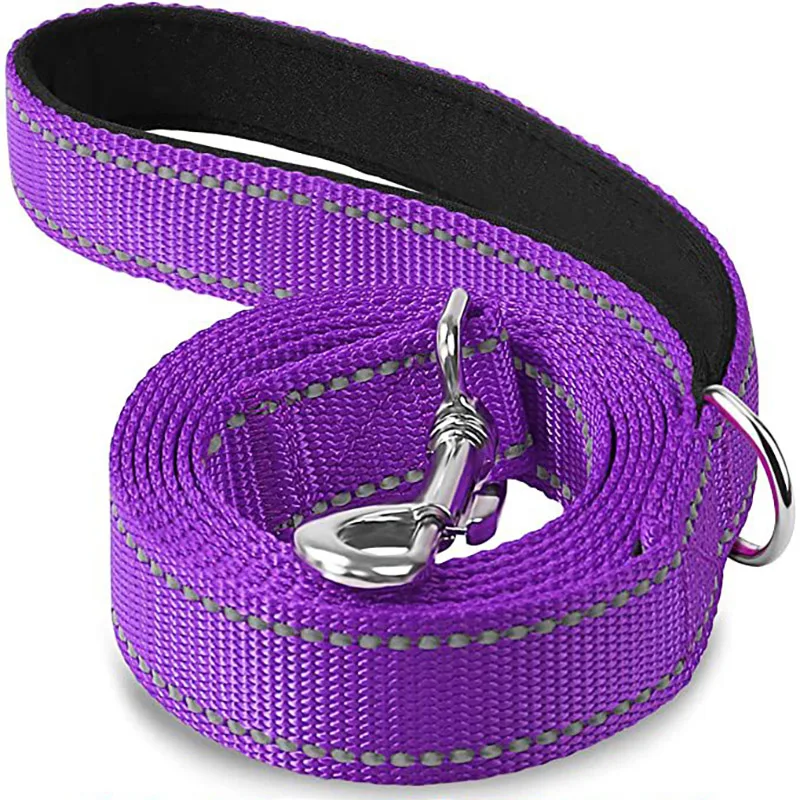 Reflective Pet Walking & Training Leash - Night Safety Guard Rope