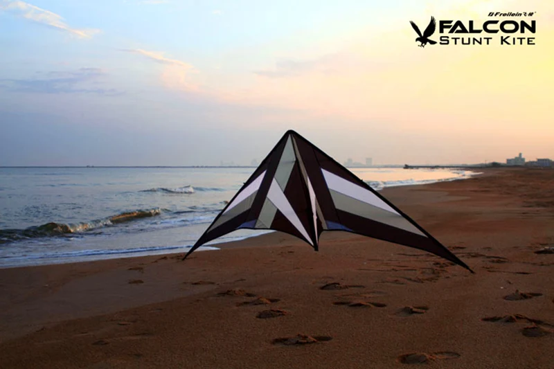 250cm Professional Stunt kite Falcon kites flying Ballet Formation Kite factory Freilein kite dual line for adults Power kite 5
