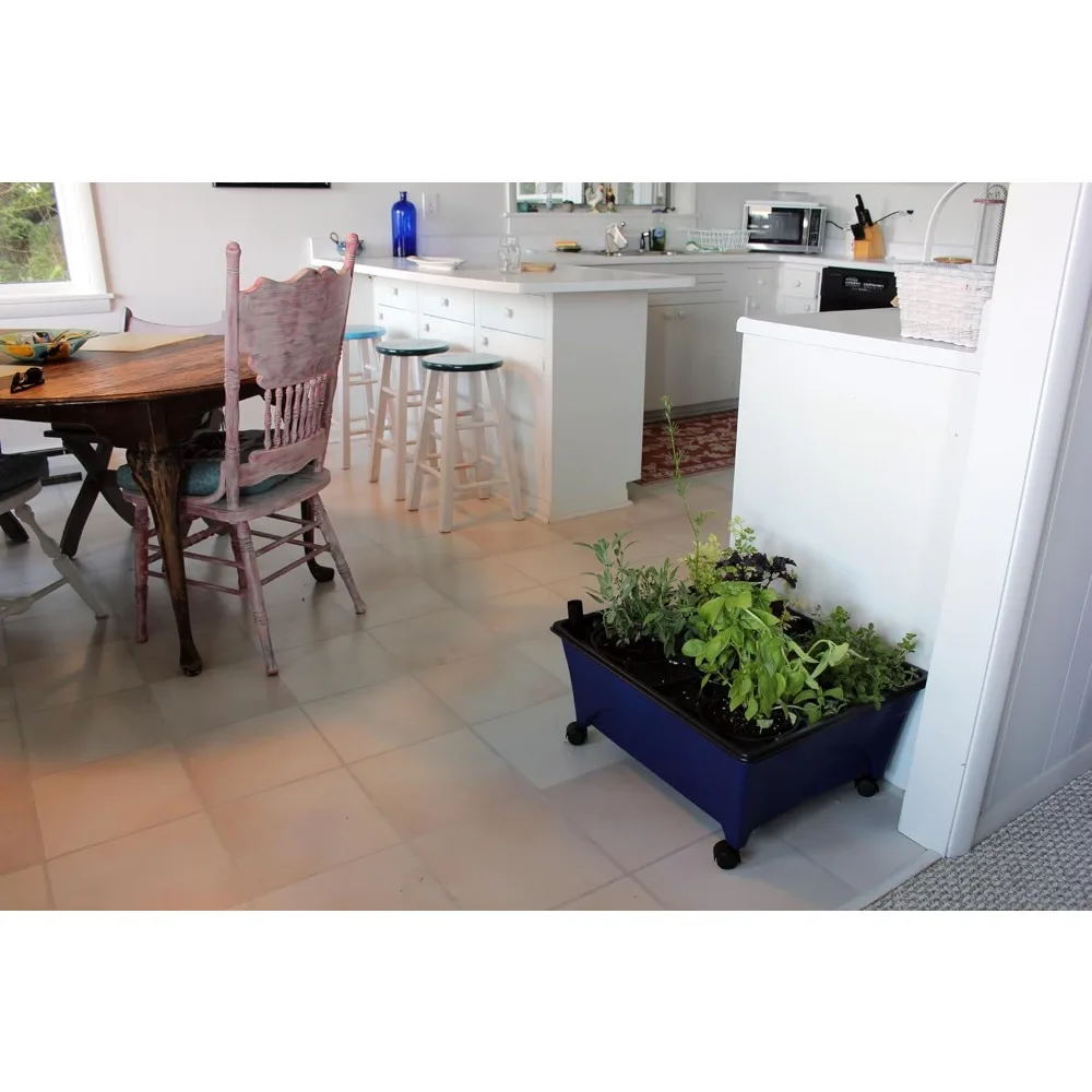 Hydroponic Planting System with Casters, 24" x 20", Cobalt Blue 3