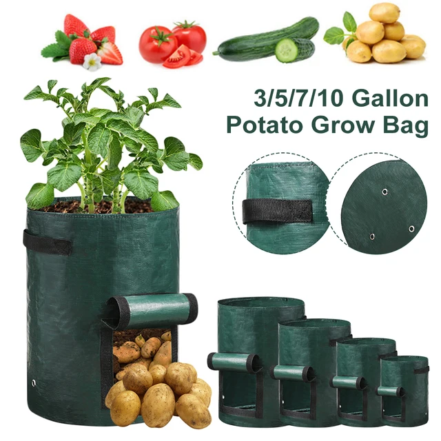 3/5/7/10 Gallon Burgonya Táska Pe Zöldség Ültetési Fogantyú Hagyma Sárgarépa Paradicsom Termesztési Edények Kerti Szerszámok - Image 2