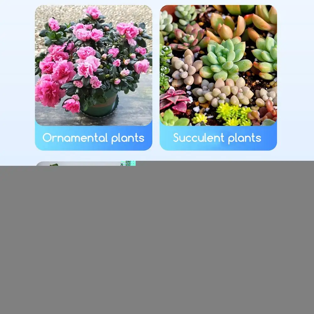 Description Picture 6 of itemHouse Plant Fertilizer Indoor Plant Food Fertilizer Universal Plant Root Stimulator Portable House Plant Fertilizer for Indoor